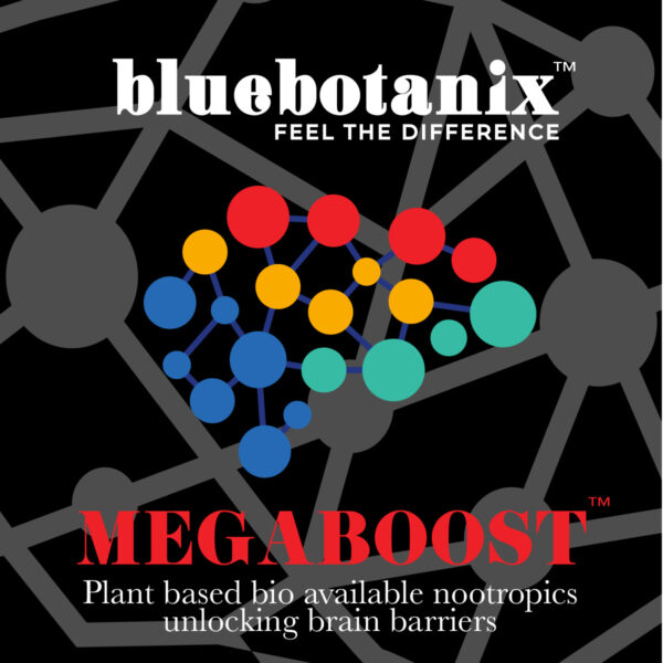 Mega Boost Nootropic Plant Based 60 Capsule Bottle