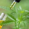 Full Spectrum CBD Tincture 3600mg - Image 4